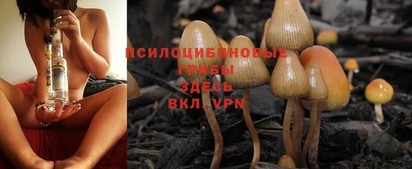 COCAINE Богданович