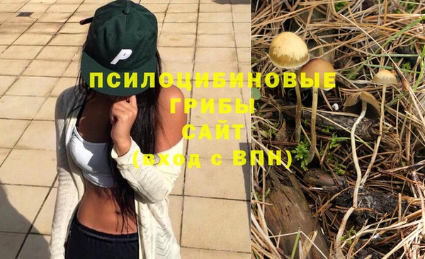 COCAINE Богданович