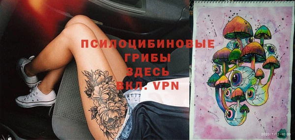 сатива Беломорск