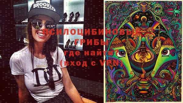 амф Белокуриха