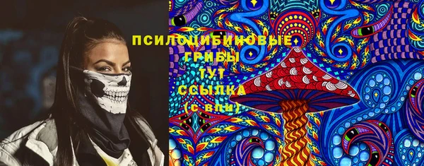 амф Богородицк