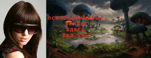 амф Белокуриха