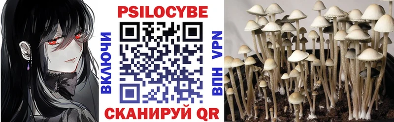 Галлюциногенные грибы GOLDEN TEACHER Купить закладки Дно